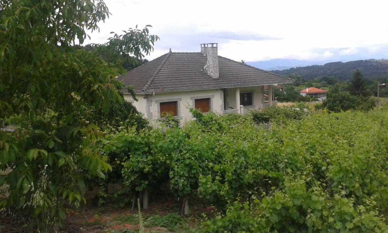 Villa Con Piscina En Panton Ribeira Sacra Galicia Ideal Para Familias Eksteriør bilde
